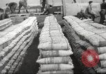 Image of German anti aircraft guns Italy, 1944, second 28 stock footage video 65675065891