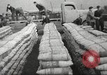 Image of German anti aircraft guns Italy, 1944, second 29 stock footage video 65675065891