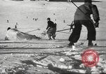 Image of German troops skiing Italy, 1943, second 7 stock footage video 65675065892