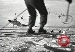 Image of German troops skiing Italy, 1943, second 9 stock footage video 65675065892
