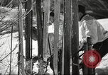 Image of German troops skiing Italy, 1943, second 45 stock footage video 65675065892