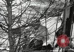 Image of German troops skiing Italy, 1943, second 49 stock footage video 65675065892