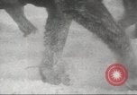 Image of German forces bogged down in snow on Eastern Front Soviet Union, 1943, second 40 stock footage video 65675065893
