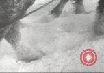 Image of German forces bogged down in snow on Eastern Front Soviet Union, 1943, second 43 stock footage video 65675065893