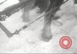 Image of German forces bogged down in snow on Eastern Front Soviet Union, 1943, second 44 stock footage video 65675065893