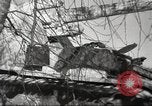 Image of German artillery division Soviet Union, 1943, second 7 stock footage video 65675065894