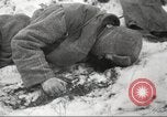 Image of German artillery division Soviet Union, 1943, second 61 stock footage video 65675065894