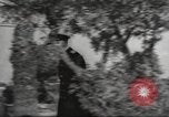 Image of Montgomery House Malta, 1945, second 44 stock footage video 65675065898