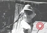 Standbild Landschaften des Georgischen Kaukasus in der Nähe des Schwarzen Meeres Georgische Sowjetrepublik, 1930, aus Sekunde 43 historischem Filmmaterial Videoclip 65675065902