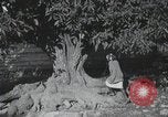 Standbild Landschaften des Georgischen Kaukasus in der Nähe des Schwarzen Meeres Georgische Sowjetrepublik, 1930, aus Sekunde 58 historischem Filmmaterial Videoclip 65675065902