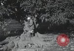 Standbild Landschaften des Georgischen Kaukasus in der Nähe des Schwarzen Meeres Georgische Sowjetrepublik, 1930, aus Sekunde 60 historischem Filmmaterial Videoclip 65675065902