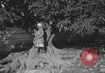 Standbild Landschaften des Georgischen Kaukasus in der Nähe des Schwarzen Meeres Georgische Sowjetrepublik, 1930, aus Sekunde 61 historischem Filmmaterial Videoclip 65675065902