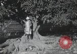 Standbild Landschaften des Georgischen Kaukasus in der Nähe des Schwarzen Meeres Georgische Sowjetrepublik, 1930, aus Sekunde 62 historischem Filmmaterial Videoclip 65675065902