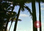 Immagine di Una spiaggia Honolulu Hawaii USA, 1967, secondo 45 filmato di repertorio 65675065908