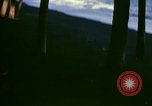 Immagine di Una spiaggia Honolulu Hawaii USA, 1967, secondo 59 filmato di repertorio 65675065908