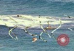 Immagine di Una spiaggia Honolulu Hawaii USA, 1967, secondo 37 filmato di repertorio 65675065910