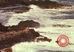 Immagine di Una spiaggia Honolulu Hawaii USA, 1967, secondo 52 filmato di repertorio 65675065910
