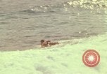 Immagine di Una spiaggia Honolulu Hawaii USA, 1967, secondo 61 filmato di repertorio 65675065910