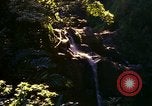 Immagine di La cascata Honolulu Hawaii USA, 1967, secondo 17 filmato di repertorio 65675065911