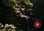 Immagine di La cascata Honolulu Hawaii USA, 1967, secondo 19 filmato di repertorio 65675065911