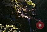 Immagine di La cascata Honolulu Hawaii USA, 1967, secondo 20 filmato di repertorio 65675065911