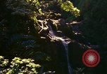 Immagine di La cascata Honolulu Hawaii USA, 1967, secondo 24 filmato di repertorio 65675065911