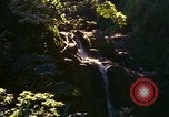 Immagine di La cascata Honolulu Hawaii USA, 1967, secondo 25 filmato di repertorio 65675065911