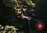 Immagine di La cascata Honolulu Hawaii USA, 1967, secondo 26 filmato di repertorio 65675065911