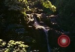 Immagine di La cascata Honolulu Hawaii USA, 1967, secondo 28 filmato di repertorio 65675065911