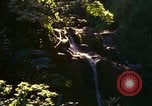 Immagine di La cascata Honolulu Hawaii USA, 1967, secondo 30 filmato di repertorio 65675065911