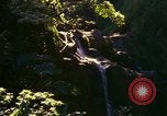 Immagine di La cascata Honolulu Hawaii USA, 1967, secondo 31 filmato di repertorio 65675065911