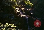 Immagine di La cascata Honolulu Hawaii USA, 1967, secondo 32 filmato di repertorio 65675065911