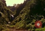 Immagine di La cascata Honolulu Hawaii USA, 1967, secondo 38 filmato di repertorio 65675065911