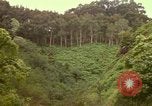 Immagine di La cascata Honolulu Hawaii USA, 1967, secondo 51 filmato di repertorio 65675065911