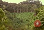 Immagine di La cascata Honolulu Hawaii USA, 1967, secondo 53 filmato di repertorio 65675065911