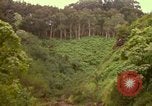 Immagine di La cascata Honolulu Hawaii USA, 1967, secondo 54 filmato di repertorio 65675065911
