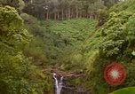 Immagine di La cascata Honolulu Hawaii USA, 1967, secondo 55 filmato di repertorio 65675065911