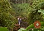 Immagine di La cascata Honolulu Hawaii USA, 1967, secondo 56 filmato di repertorio 65675065911
