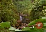 Immagine di La cascata Honolulu Hawaii USA, 1967, secondo 58 filmato di repertorio 65675065911