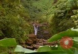 Immagine di La cascata Honolulu Hawaii USA, 1967, secondo 59 filmato di repertorio 65675065911
