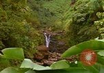 Immagine di La cascata Honolulu Hawaii USA, 1967, secondo 60 filmato di repertorio 65675065911