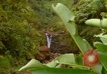 Immagine di La cascata Honolulu Hawaii USA, 1967, secondo 62 filmato di repertorio 65675065911