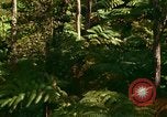Standbild Wald Honolulu Hawaii USA, 1967, aus Sekunde 28 historischem Filmmaterial Videoclip 65675065912