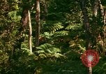 Standbild Wald Honolulu Hawaii USA, 1967, aus Sekunde 30 historischem Filmmaterial Videoclip 65675065912