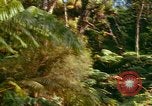 Standbild Wald Honolulu Hawaii USA, 1967, aus Sekunde 57 historischem Filmmaterial Videoclip 65675065912