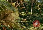 Standbild Wald Honolulu Hawaii USA, 1967, aus Sekunde 58 historischem Filmmaterial Videoclip 65675065912