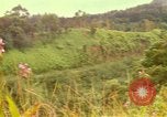Image of flowers Honolulu Hawaii USA, 1967, second 5 stock footage video 65675065914