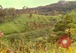 Image of flowers Honolulu Hawaii USA, 1967, second 6 stock footage video 65675065914