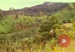 Image of flowers Honolulu Hawaii USA, 1967, second 7 stock footage video 65675065914