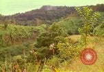 Image of flowers Honolulu Hawaii USA, 1967, second 8 stock footage video 65675065914